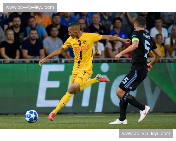 绿茵狂想曲：哈马比与奥雷布洛的激情碰撞，谁能主宰北欧之巅？